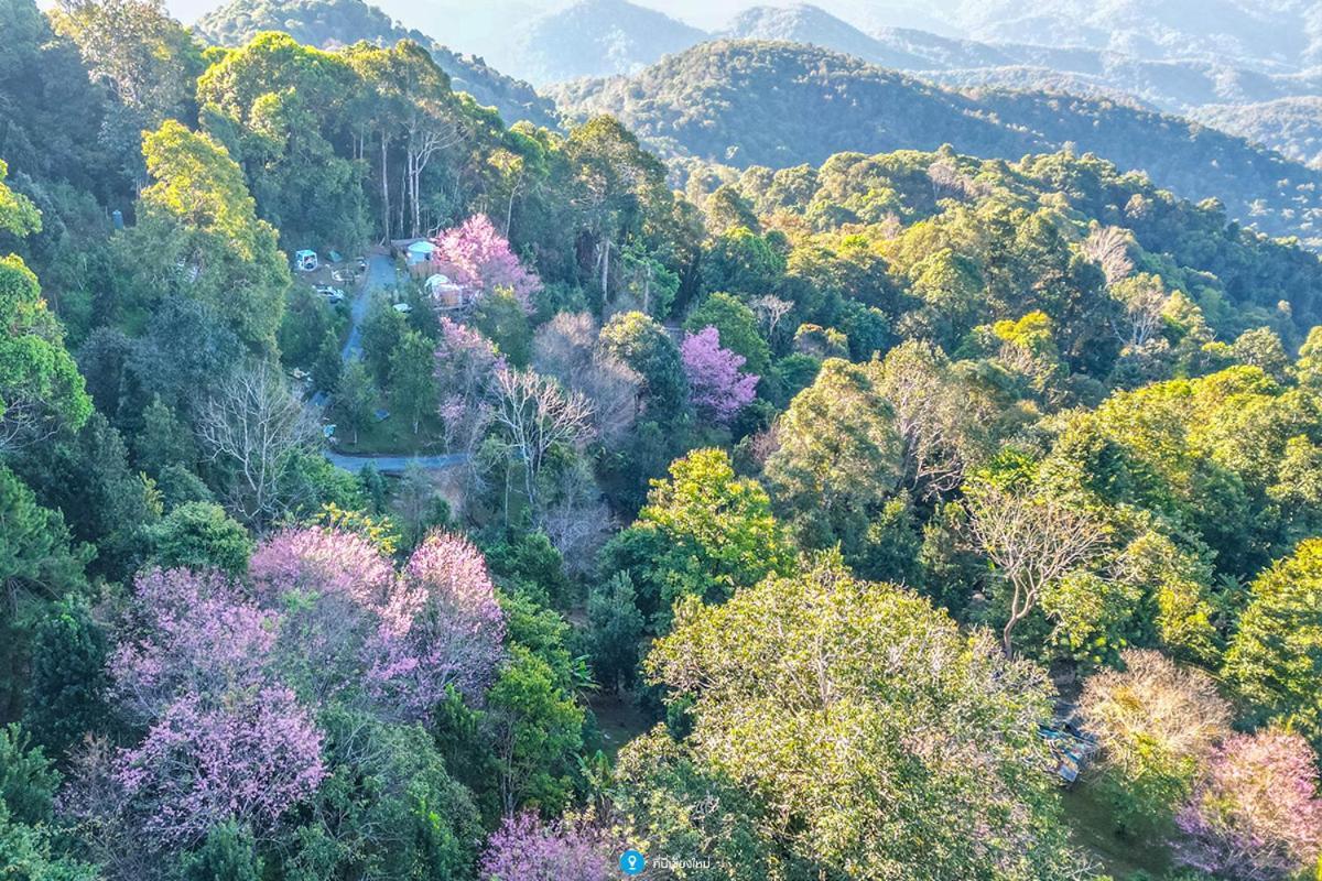 ホテル Nam Dun Glamping-น้ำดั้นแกลมปิ้ง Ban Pang Bo Hu Bon エクステリア 写真